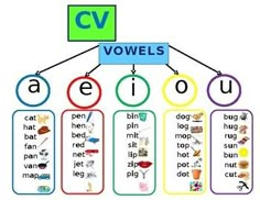 an image of a diagram with words in the middle and below it that spell out voiels