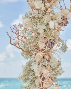 an arrangement of seashells and flowers on a tree by the beach with blue water in the background