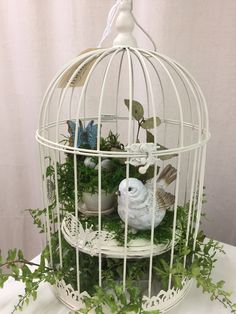 a white birdcage filled with plants on top of a table