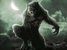 an image of a bigfoot with the caption those who act like sheep will be eaten by werewolvess