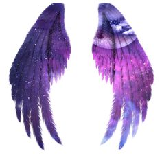 two purple wings with stars on them