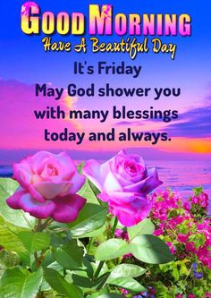 two pink roses sitting on top of a lush green field next to the ocean with text good morning have a beautiful day it's friday may god shower you with many blessings today and always