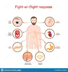 Sweat Gland, Emergency Medicine, Hearing Loss, Social Work, Biology, No Response, Stock Vector