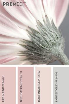 a pink and grey color scheme with the words, premer on it's side