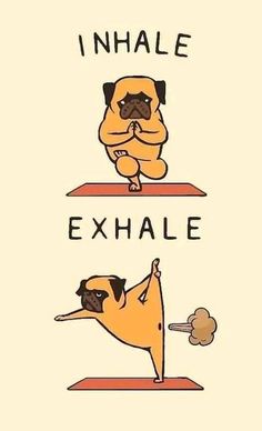 an image of a dog doing yoga with the words inhale and exhale