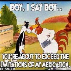 a cartoon with an image of two chickens kissing each other and the caption says boy, i say boy you're about to exceled the imitations of my medication