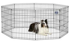 a dog is sitting in an exercise pen