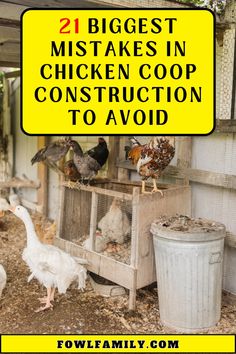 chickens in coop with text overlay that reads 21 biggest mistakes in chicken coop construction to avoid