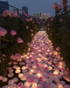 rows of lit candles in the shape of roses on display at an outdoor garden event