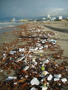 the beach is littered with trash and other things that have been thrown into the water