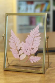 a pink plant in a glass frame on a table