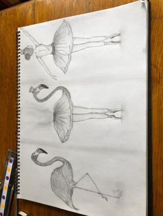 a drawing of two flamingos on a white paper