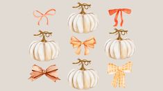 watercolor pumpkins with bows and bows on the top one is orange, white, and gold