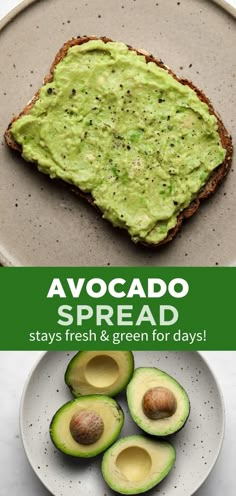 avocado spread on toast with fresh and green for days