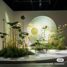 a display with flowers and plants in front of a circular window