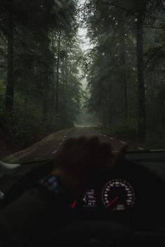 a person driving down a road in the middle of a forest on a foggy day