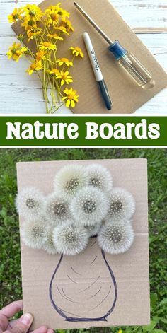 an image of nature boards with dandelions in the middle and yellow flowers on top