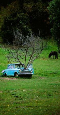 an old car is parked in the grass next to a tree with a horse behind it