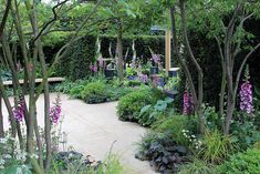 a garden with lots of trees and flowers