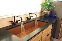 a kitchen sink with two faucets and a potted plant on the counter