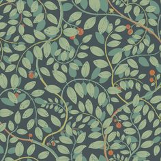 Kirke Leafy Vines Wallpaper Wallpaper A-Street Prints Double Roll Turquoise Vines Wallpaper, Brewster Wallpaper, A Street Prints, Turquoise Wallpaper, Light Backdrop, Fruit Wallpaper, Blue Backdrops, Contemporary Wallpaper, Botanical Wallpaper