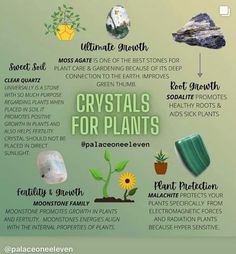 Spells For Plant Growth, Crystals To Help Plants Grow, Crystals For Plants Health, Crystals For Green Witch, Crystals For Plant Growth, Crystal Storage Ideas, Plant Crystals, Crystals For Plants, Crystals For Luck