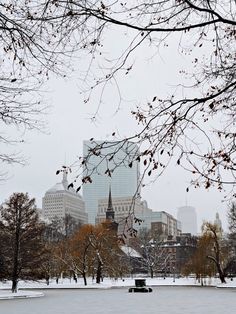 a snowy park with trees and buildings in the background