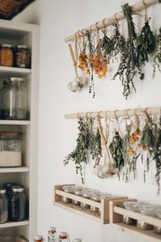 herbs hang on the wall above glasses and jars