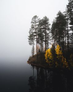 an island in the middle of a lake surrounded by tall pine trees on a foggy day