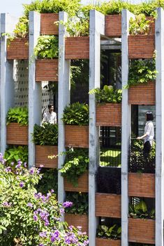 an image of a building with plants growing on it