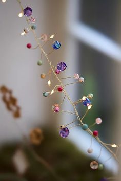 a close up of a plant with many beads on it's stems and lights in the background