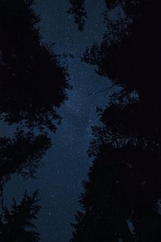 the night sky is filled with stars and trees