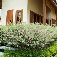 a house with pink flowers in front of it and green bushes on the side of the building