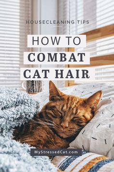 a cat sleeping on top of a bed with the words how to combat cat hair