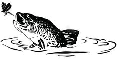 a black and white drawing of a fish with a fly on it's mouth