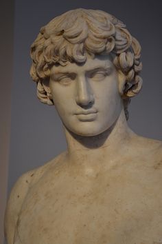 a close up of a statue of a man's head and shoulders with curly hair