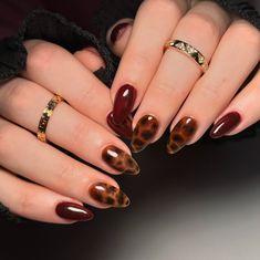 A tortoise fall🤎 #nails #nailart #naildesigns #nailsofinstagram #nailsnailsnails #nailsmagazine #nailsonfleek #nailstyle #nailtrends #nailartist #nailinspo #fallnails #fall #tortoisenails Nails Fall Winter 2024, Tortoise Tip Almond Nails, Maroon And Tortoise Nails, Maroon Tortoise Nails, Cherry Mocha Tortoise Nails, Tortoise Nails Almond, Burgundy And Tortoise Shell Nails, Tortoise Nails French Tip, Burgundy And Cheetah Nails