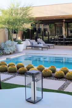 an empty pool surrounded by cactus plants in front of a house