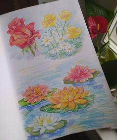 an open book with water lilies and flowers on it