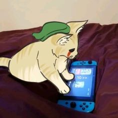 a white cat with a green hat on top of a bed next to a nintendo wii game controller