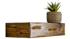 a potted plant sitting on top of a wooden block next to another piece of wood