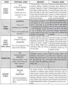 a table that has different types of words and phrases on it, including thesauruss