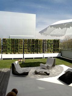 an outdoor living area with grass and plants