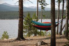 a hammock hanging between two trees on the shore of a body of water