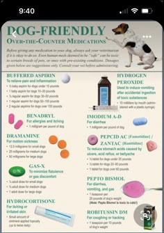 Human Medicine For Dogs, Medications For Dogs, Human Medicine Safe For Dogs, Dog Medicine Chart, Baby Aspirin For Dogs, Medicine Safe For Dogs, Dog Benadryl, Pet Medicine, Health Checklist