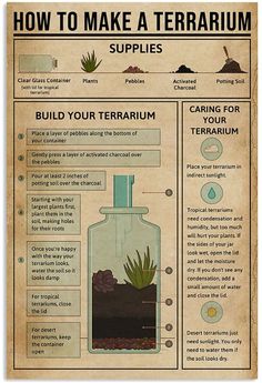 an old poster with instructions on how to make a terrarium