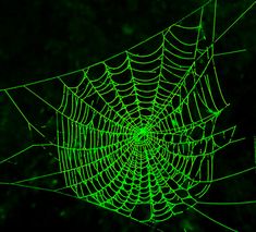 a spider web is glowing green in the dark