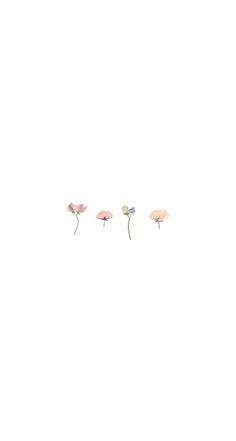 three small pink flowers on a white background