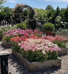 a garden filled with lots of colorful flowers