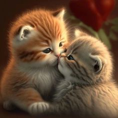 two kittens cuddle together in front of a red rose on a brown background